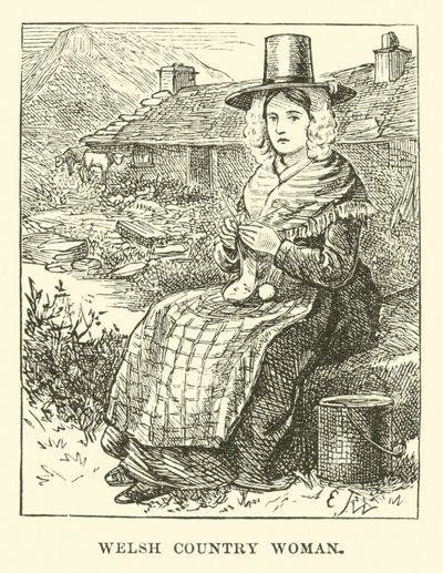Welsh Country Woman by English School