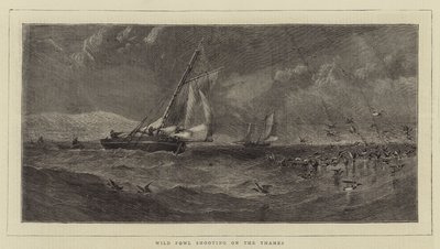 Wild Fowl Shooting on the Thames by English School