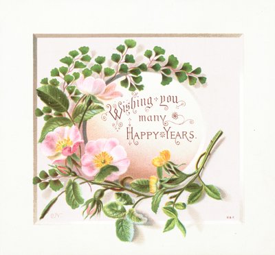 Wild Roses by English School