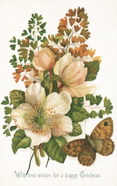 Wild Roses and Butterfly by English School
