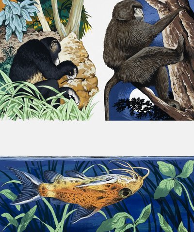 Wild animals montage by English School