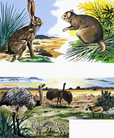 Wildlife montage by English School