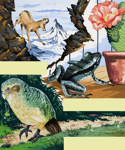 Wildlife Montage by English School