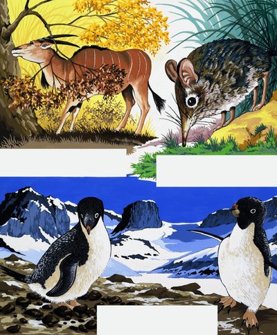 Wildlife Montage by English School