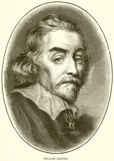 William Harvey by English School