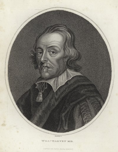 William Harvey by English School