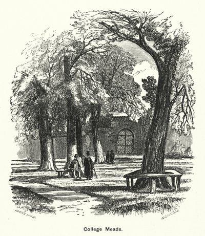 Winchester College: College Meads by English School