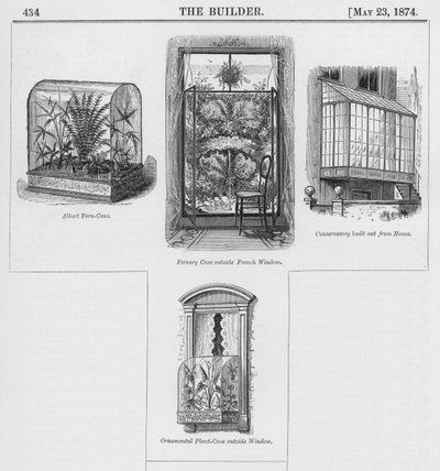 Window Gardening (engraving) by English School