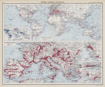 Wine, growing countries by English School