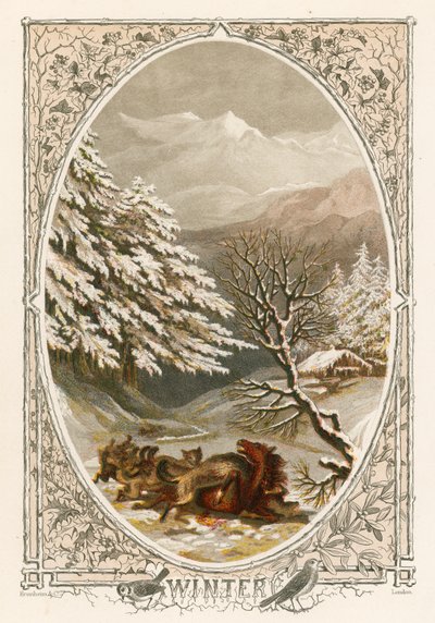 Winter by English School