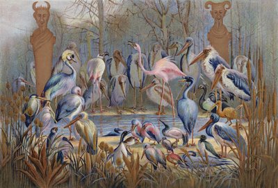Wise or Otherwise, a study of birdlife by English School