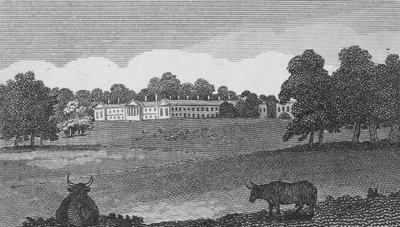 Woburn Abbey by English School