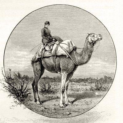 Woman on a Camel in Australia, from 