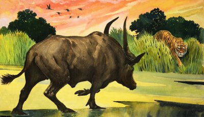 Wonders of Nature: Fiercest Animal of them all by English School