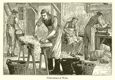 Wool-Sorters by English School