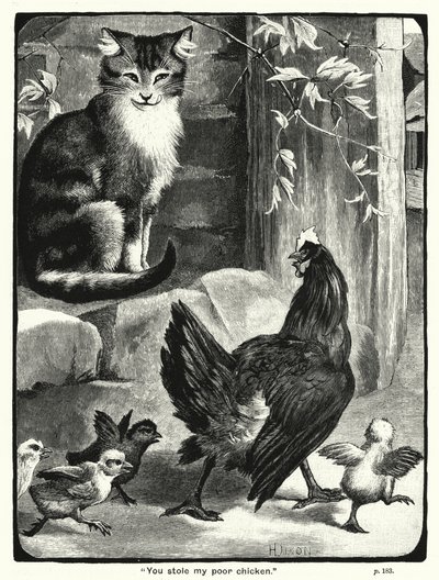 You stole my poor chicken by English School