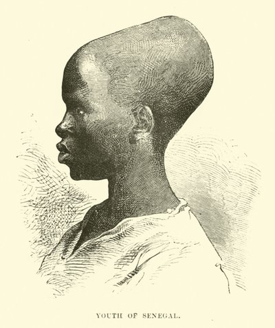 Youth of Senegal by English School