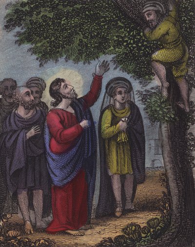 Zaccheus climb