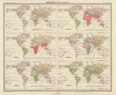 Zoogeography: Mammalia, Primates, Chiroptera by English School