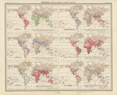 Zoogeography: Reptilia, Lacertilia, Crocodilia, Chelonia, Prosauria by English School