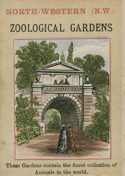Zoological Gardens by English School