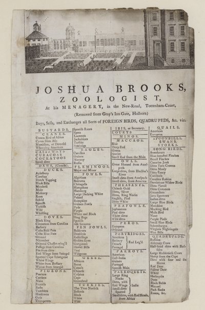Zoologist, Joshua Brooks by English School