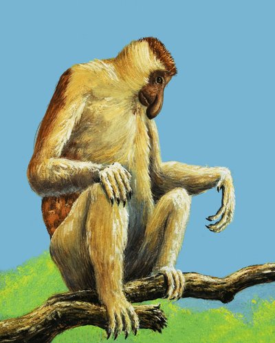 Strange Monkeys by Eric Tansley