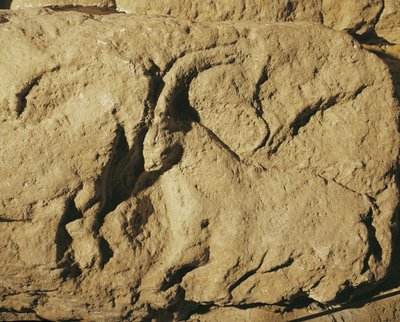 Battling Rams (Stone Relief) by Erich Lessing