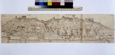 Pen drawings by Anton Wyngaerdi and Georg Hoefnagel by Erich Lessing