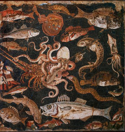 Submarine Fauna: Mosaic from Pompeii, Italy by Erich Lessing