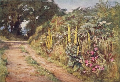 The Heart of the Hedgerow by Ernest Benger or Berenger