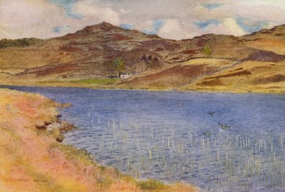 Loch Howie or Wee by Ernest Edward Briggs