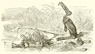 The Angler and the Little Fish by Ernest Henry Griset