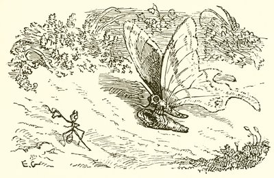 The Ant and the Chrysalis by Ernest Henry Griset
