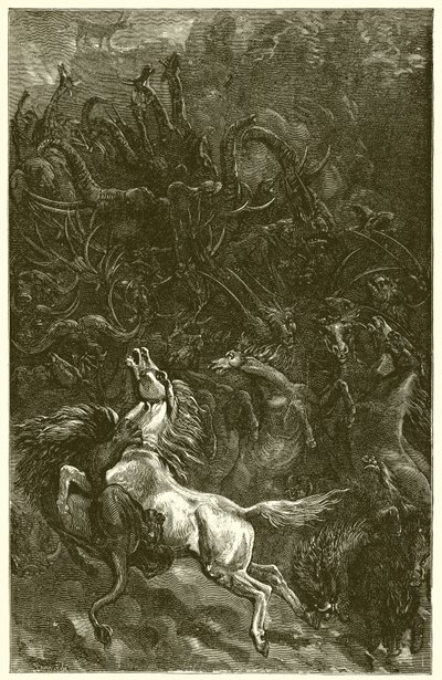 The Ass and the Lion Hunting by Ernest Henry Griset