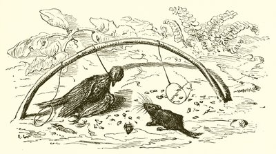 The Fowler and the Lark by Ernest Henry Griset