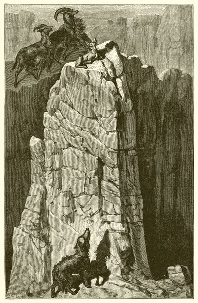 The Kid and the Wolf by Ernest Henry Griset