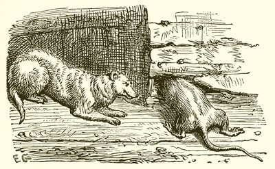 The Mouse and the Weasel by Ernest Henry Griset