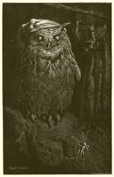 The Owl and the Grasshopper by Ernest Henry Griset