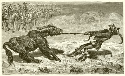The Sensible Ass by Ernest Henry Griset
