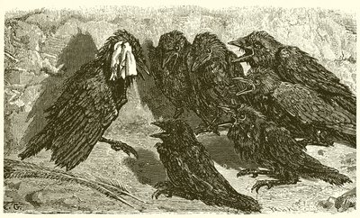 The Vain Jackdaw by Ernest Henry Griset