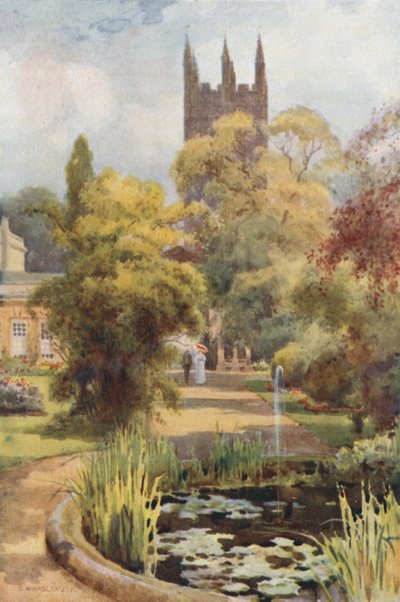 Botanic Gardens and Magdalen Tower by Ernest William Haslehust