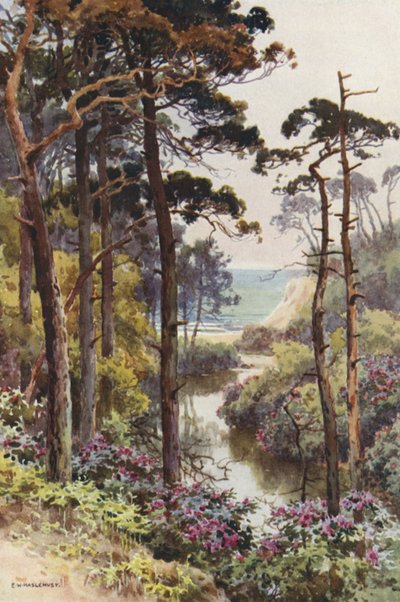 Branksome Chine, Bournemouth by Ernest William Haslehust