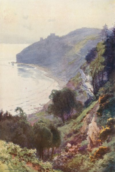 Durlston Bay, Swanage by Ernest William Haslehust