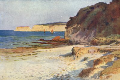 Studland Bay by Ernest William Haslehust