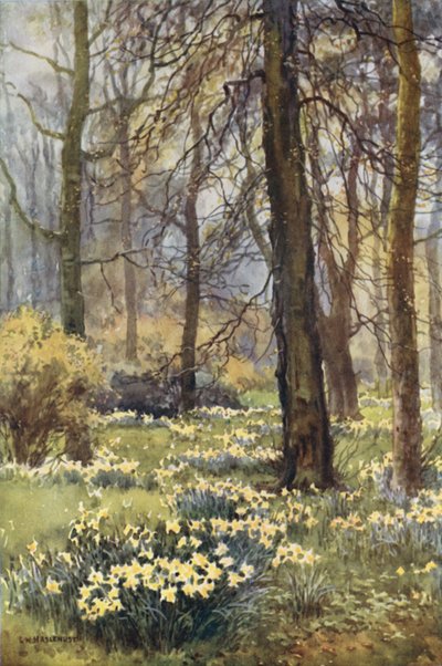 The Wilderness in Spring by Ernest William Haslehust
