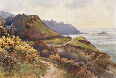 Ventnor from the Steephill Walk by Ernest William Haslehust