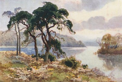 Virginia Water by Ernest William Haslehust