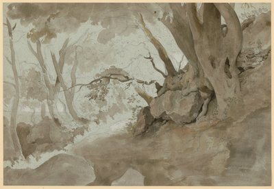 Tree and Rock Study by Ernst Fries