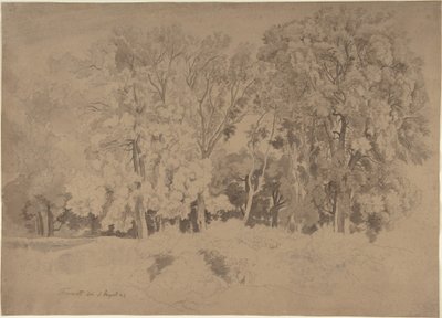 Edge of a Wood near Frascati by Ernst Fries